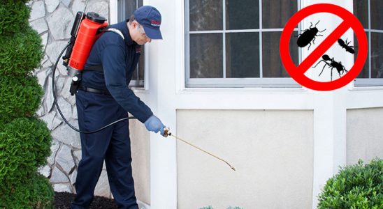 Sasalı Dezenfeksiyon böcek ilaçlama ve haşere kontrolü — ilaclama-tr.com
